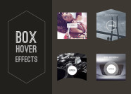 Box hover effect